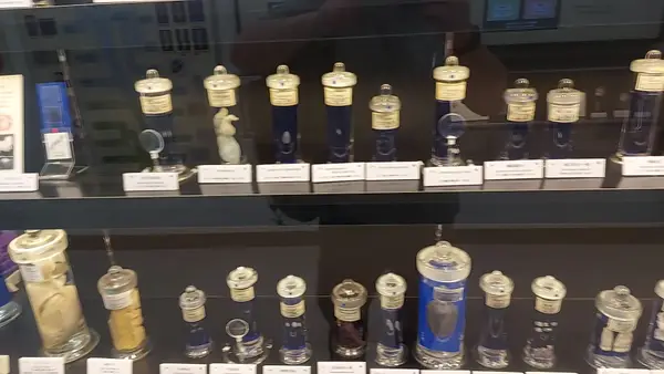 Interior at Meguro Parasitological Museum Tokyo — travel photo
