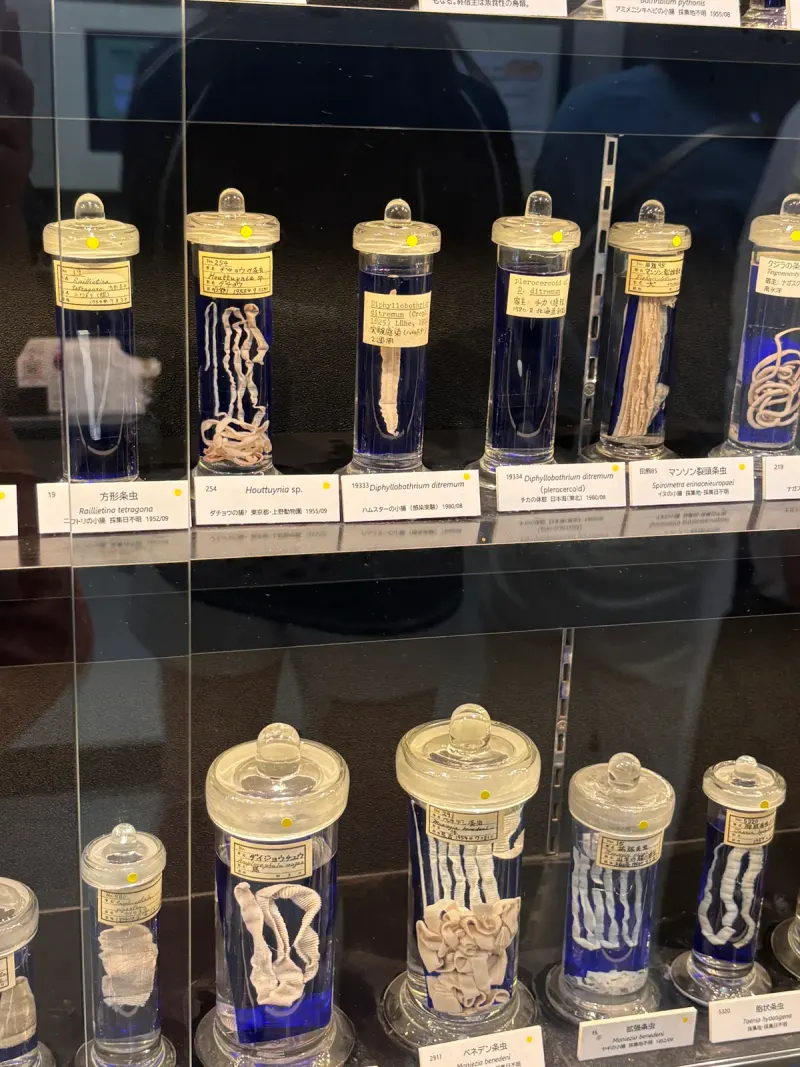 Meguro Parasitological Museum