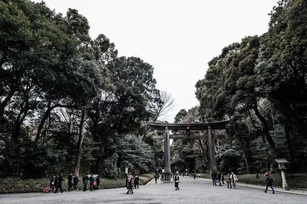 Details at Meiji Jingu Tokyo — travel photo