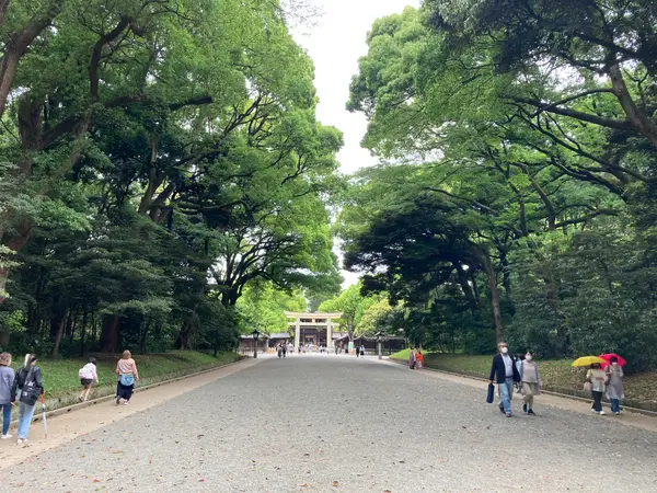 Atmosphere at Meiji Jingu Tokyo — travel photo