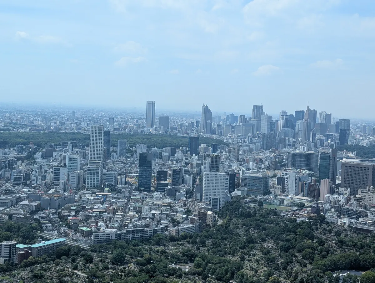 Mori Art Museum — culture guide Tokyo