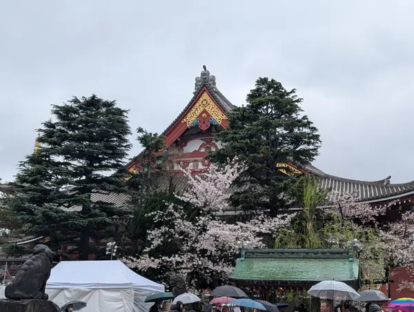 Atmosphere at Nakamise Shopping Street Tokyo — travel photo