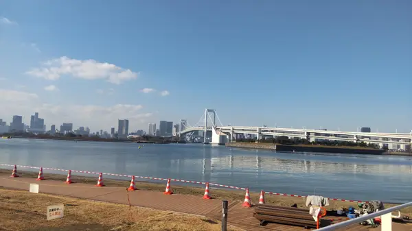 Atmosphere at Odaiba Marine Park Tokyo — travel photo