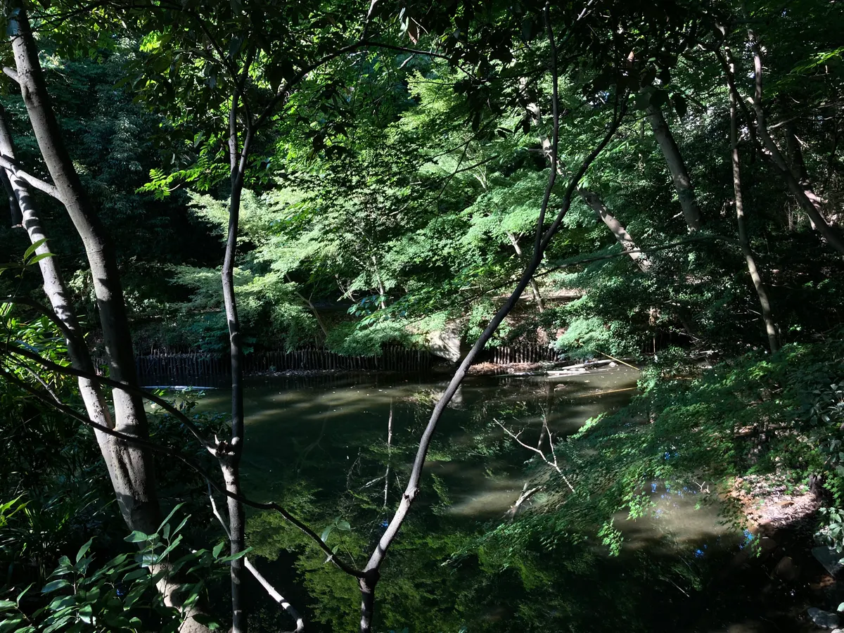 Rikugien Gardens β hidden gems guide Tokyo
