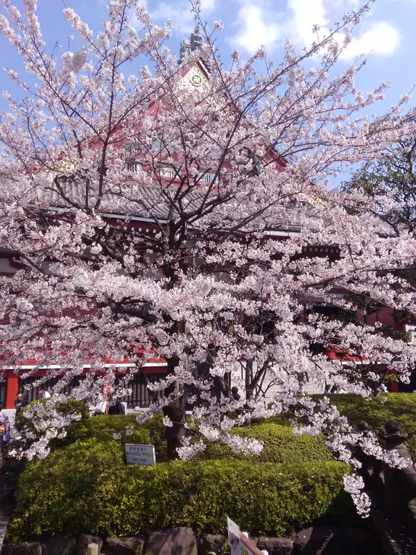 Atmosphere at Sensō-ji Tokyo — travel photo