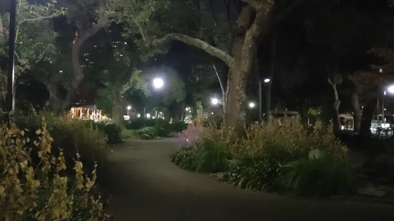 Shiba Park