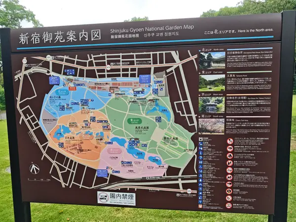Details at Shinjuku Gyoen National Garden Tokyo — travel photo