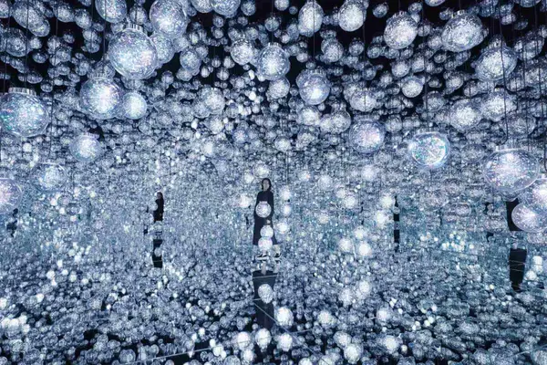 Details at teamLab Borderless: MORI Building DIGITAL ART MUSEUM Tokyo — travel photo