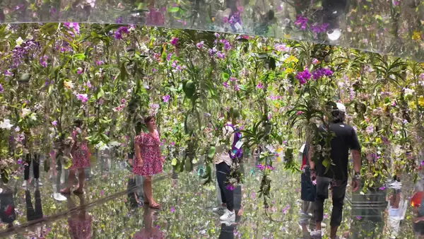 Interior at teamLab Planets TOKYO DMM Tokyo — travel photo