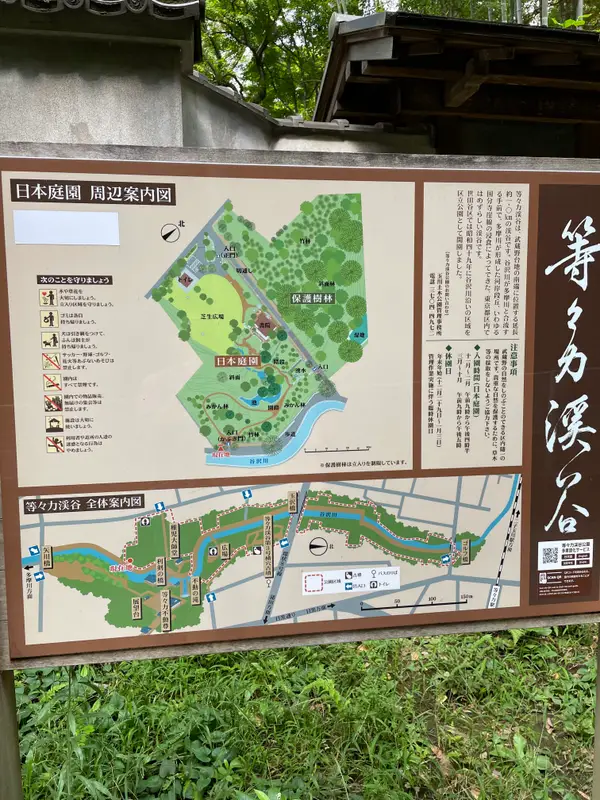 Atmosphere at Todoroki Ravine Park Tokyo — travel photo