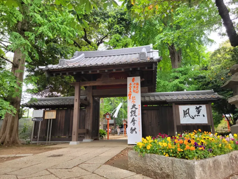 Todoroki Ravine Park