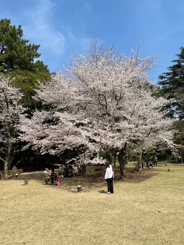 Atmosphere at Tokyo Metropolitan Teien Art Museum Tokyo — travel photo