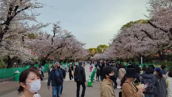 Interior at Ueno Park Tokyo — travel photo