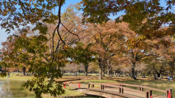 Interior at Yoyogi Park Tokyo — travel photo