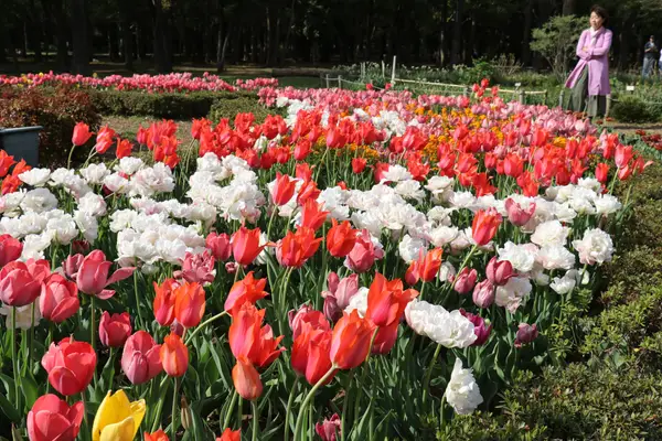 Atmosphere at Yoyogi Park Tokyo — travel photo