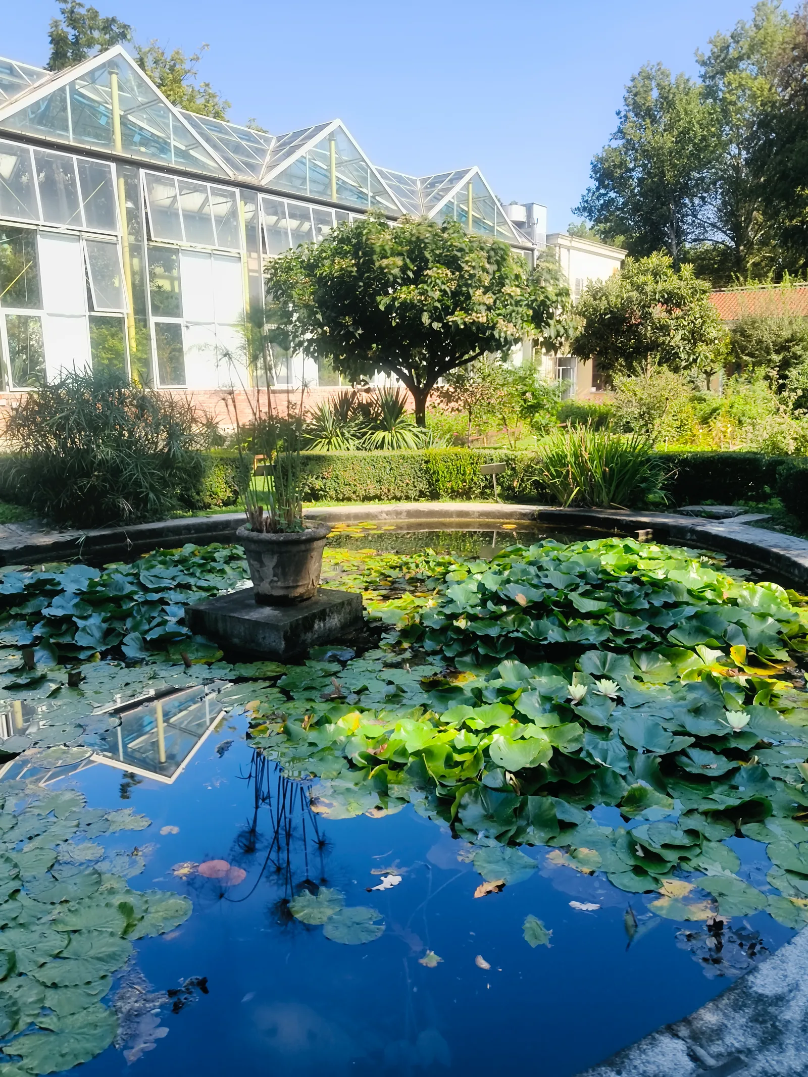 Main view at Botanical Garden of Turin - University of Turin Turin — travel photo