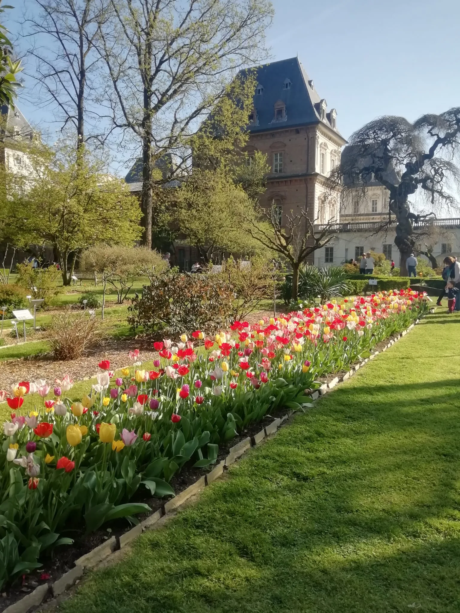 Interior at Botanical Garden of Turin - University of Turin Turin — travel photo