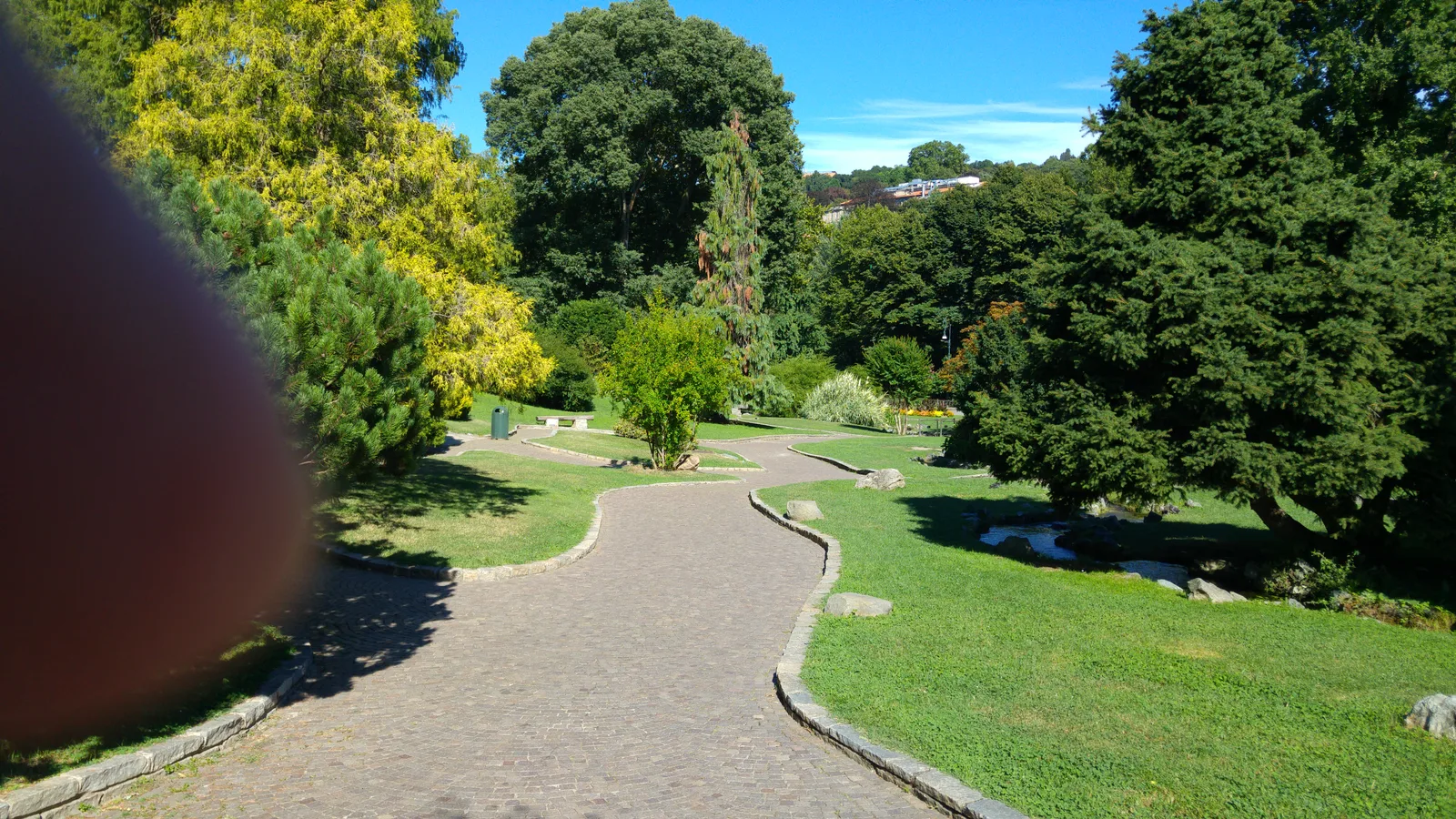 Details at Botanical Garden of Turin - University of Turin Turin — travel photo