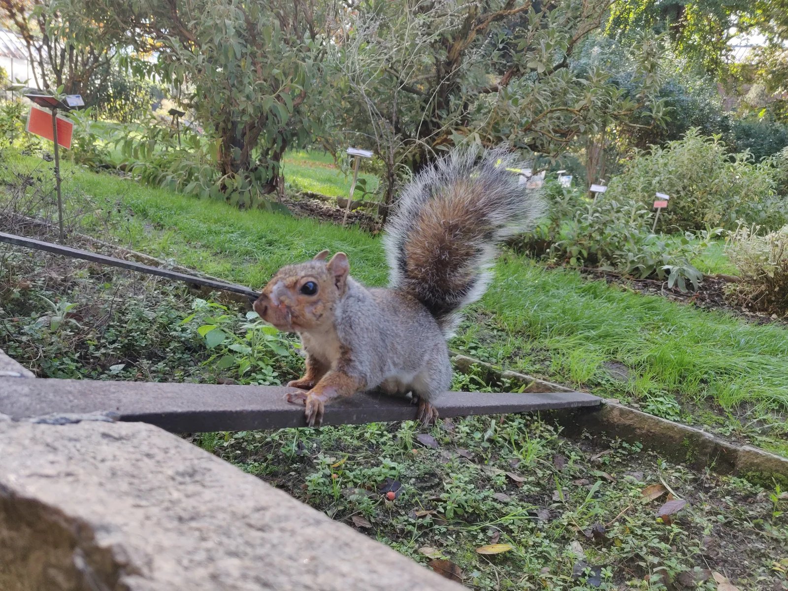 Atmosphere at Botanical Garden of Turin - University of Turin Turin — travel photo