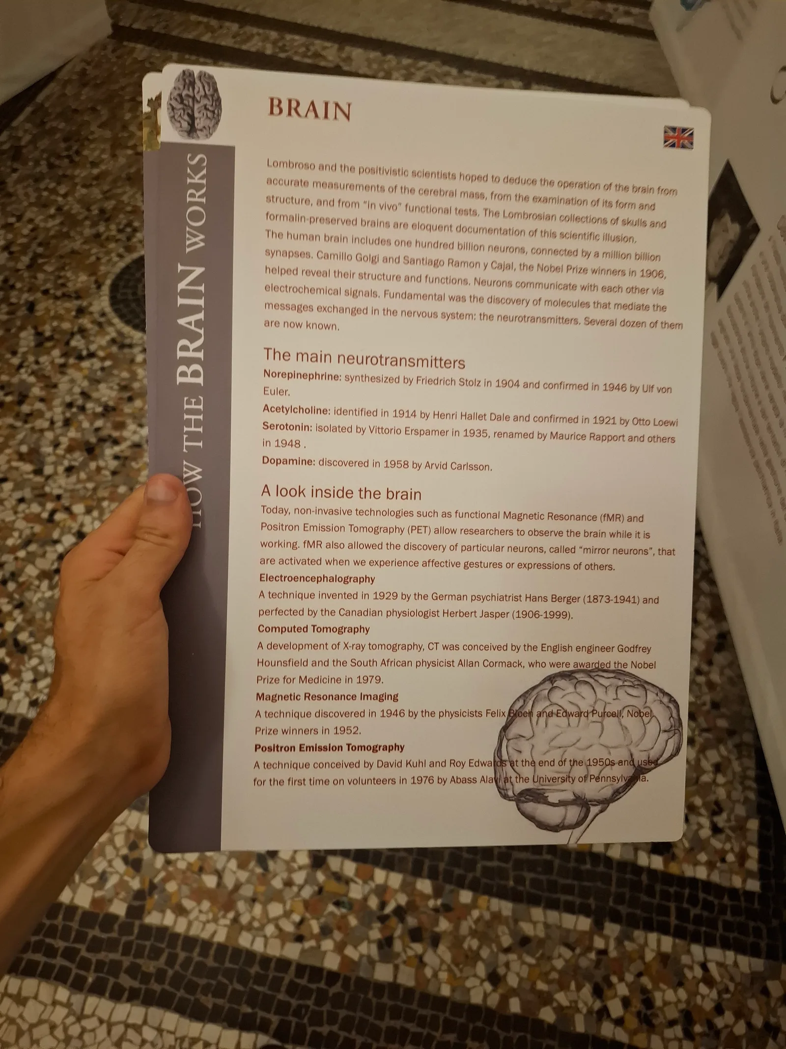 Interior at Cesare Lombroso Museum of Criminal Anthropology Turin — travel photo