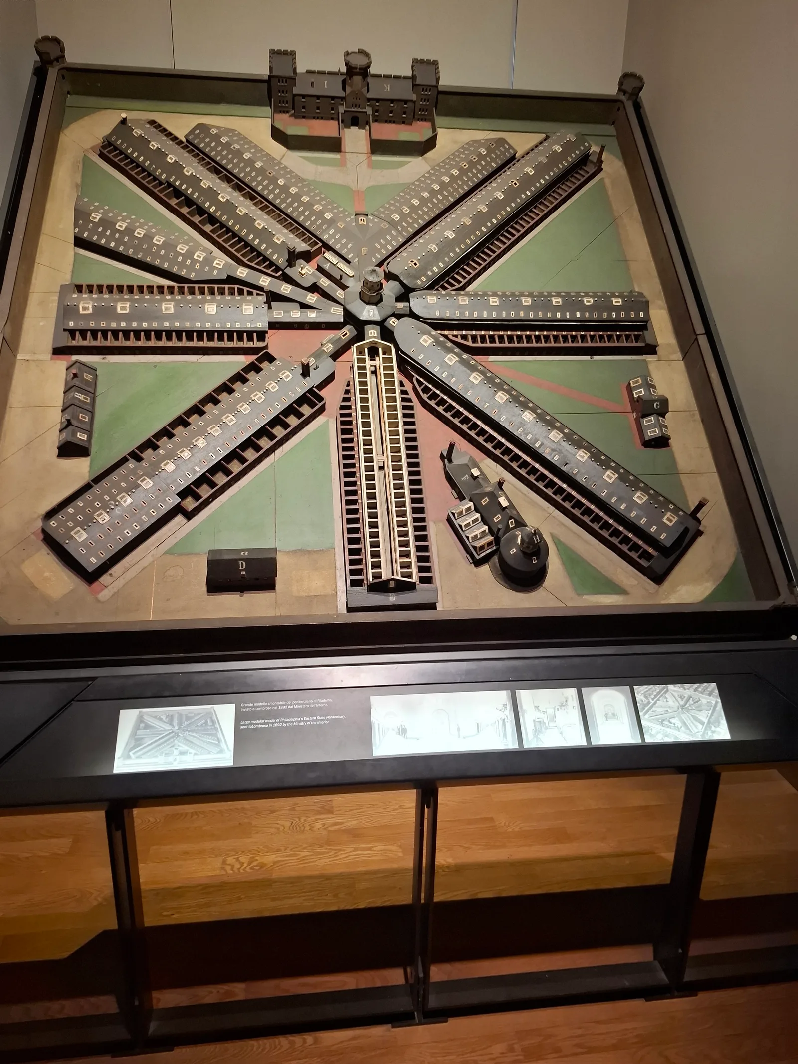 Details at Cesare Lombroso Museum of Criminal Anthropology Turin — travel photo