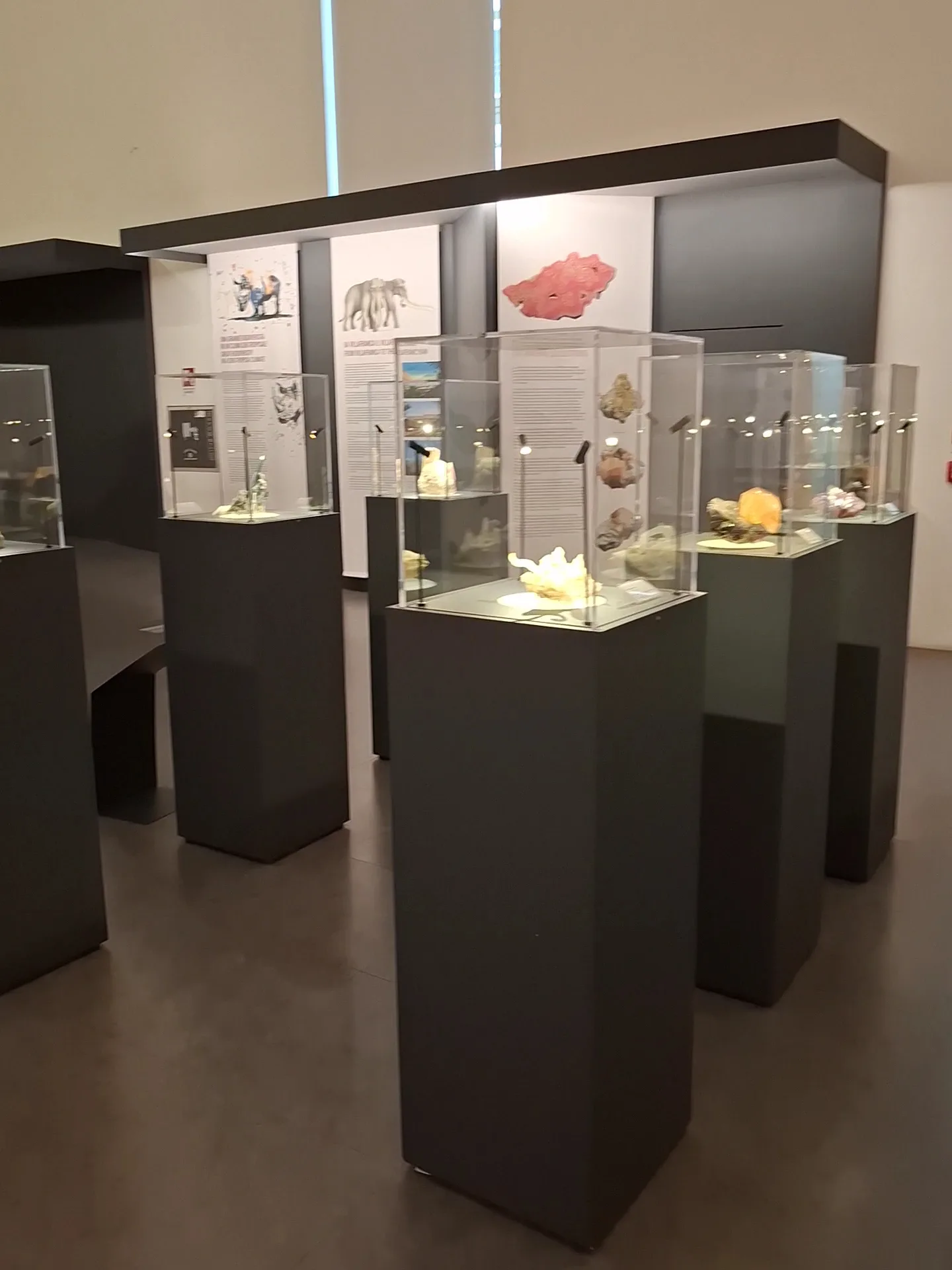 Interior at Museo Regionale di Scienze Naturali Turin — travel photo