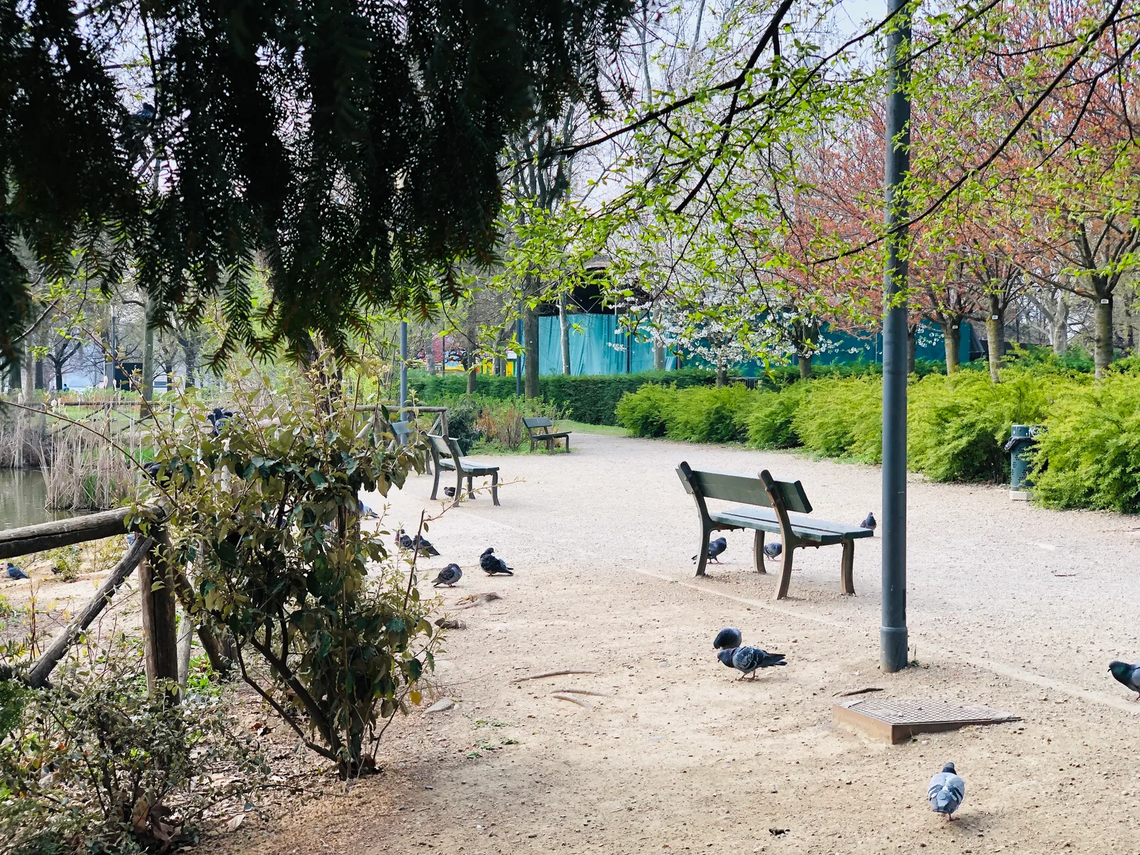 Details at Parco Cavalieri di Vittorio Veneto Turin — travel photo