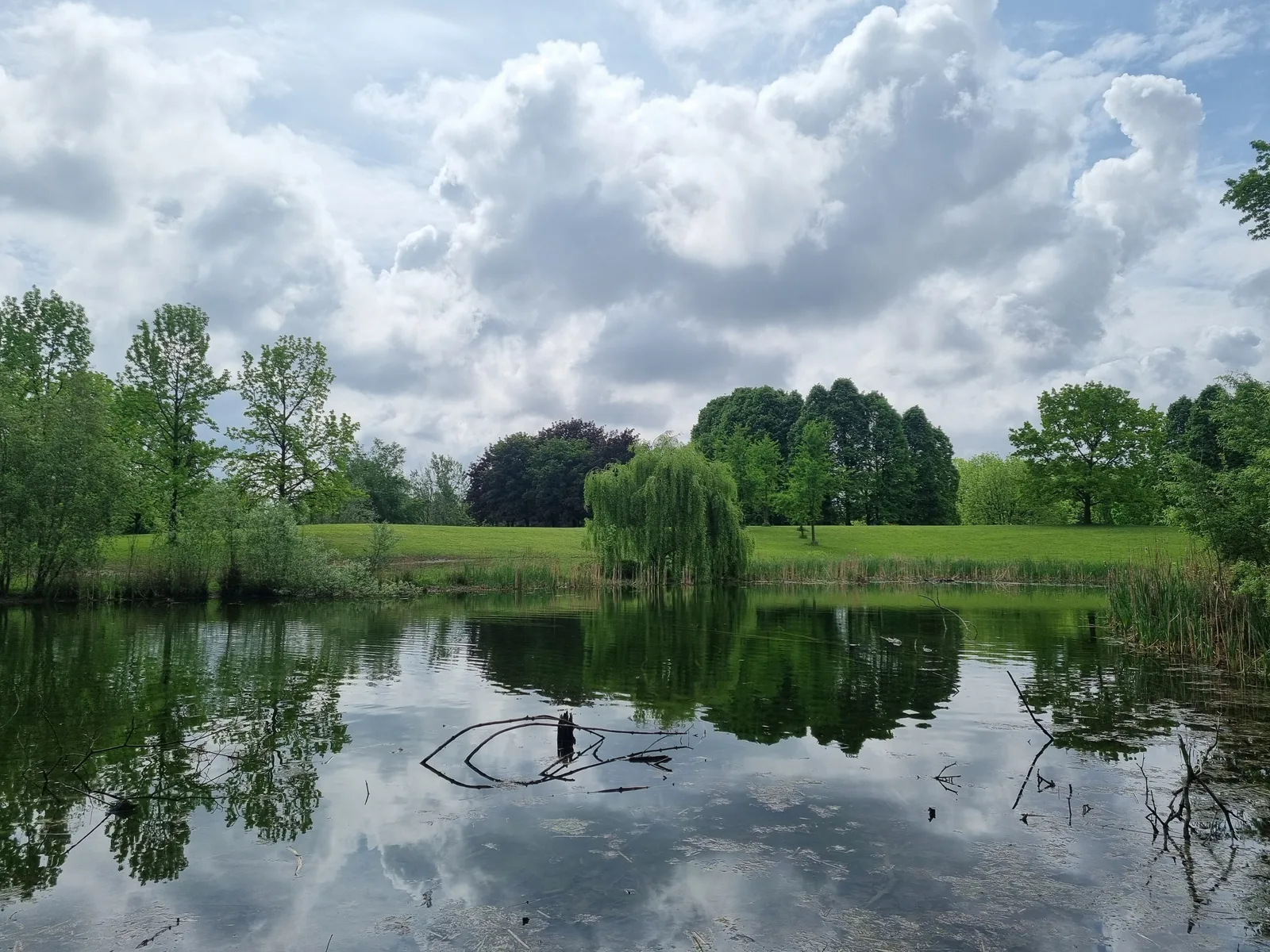 Details at Parco della Pellerina Turin — travel photo