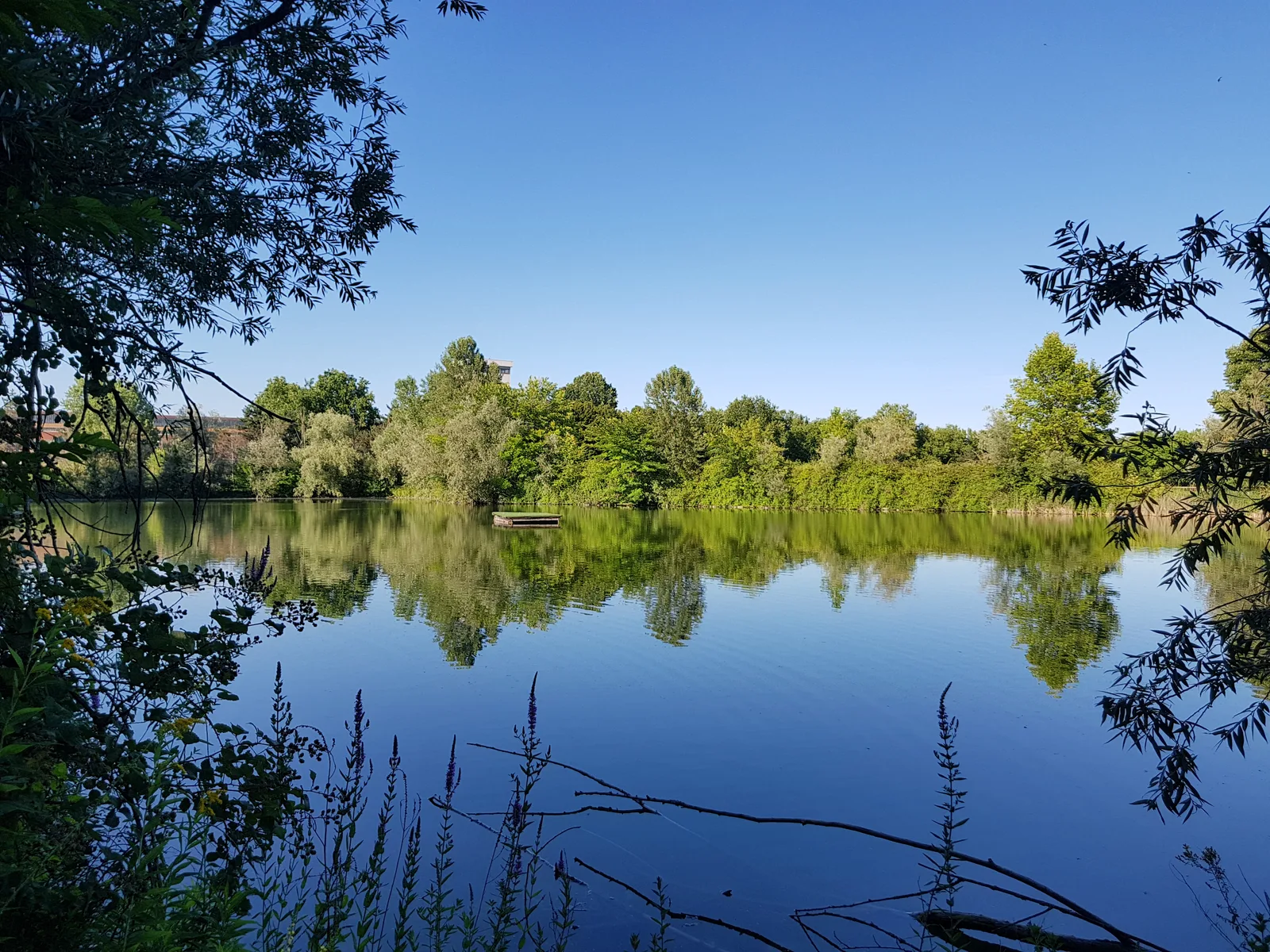 Atmosphere at Parco della Pellerina Turin — travel photo