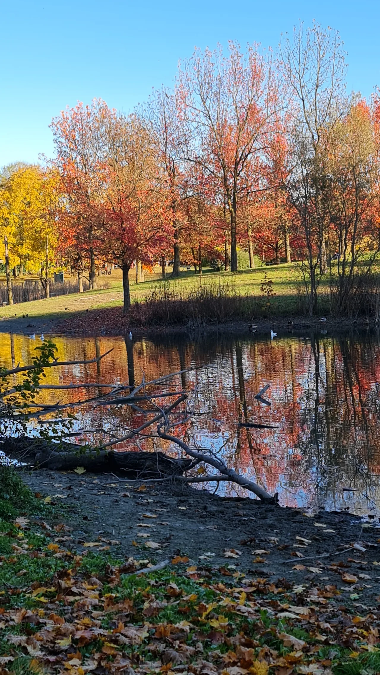 Parco della Pellerina