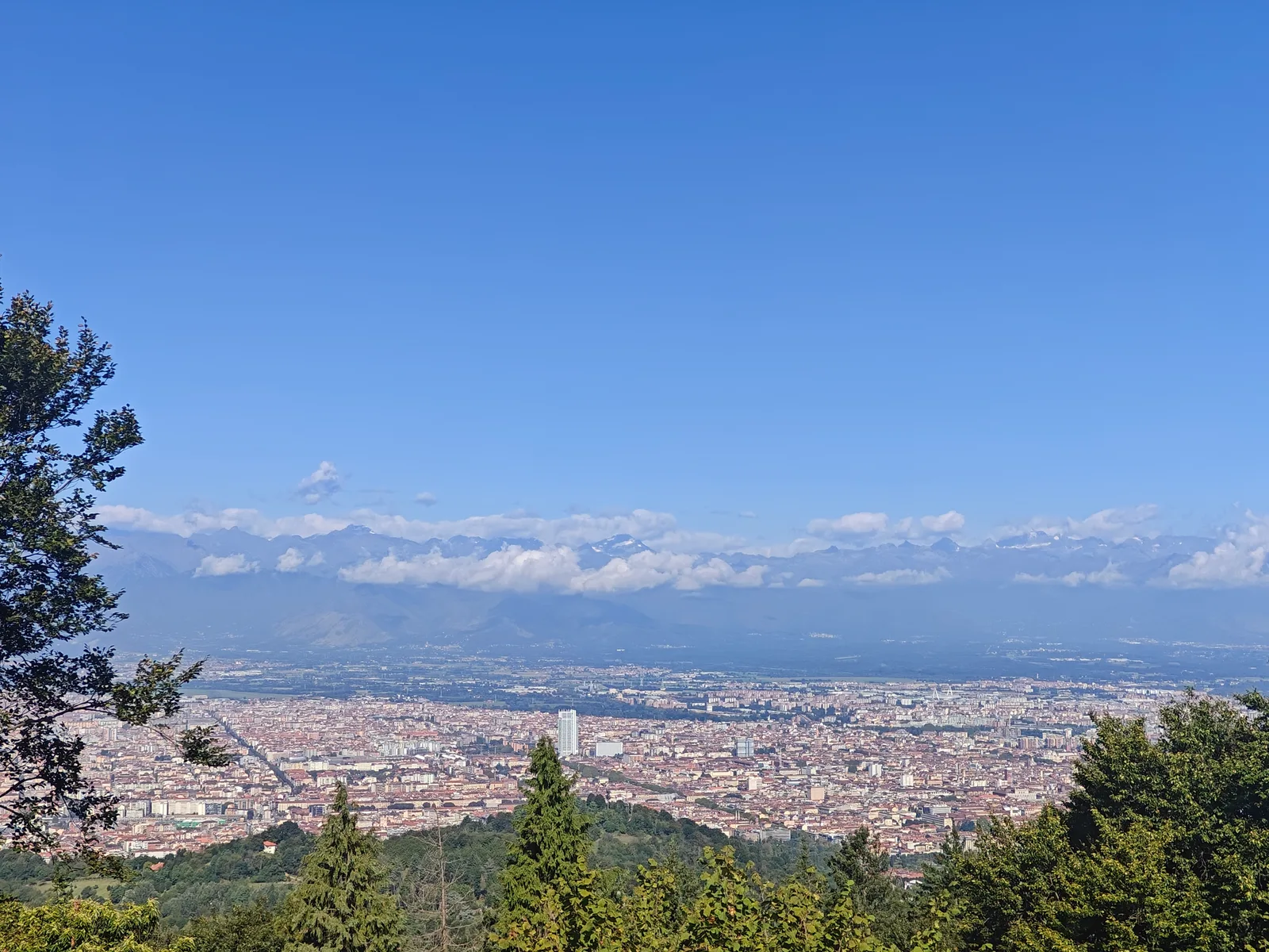 Details at Parco della Rimembranza Turin — travel photo