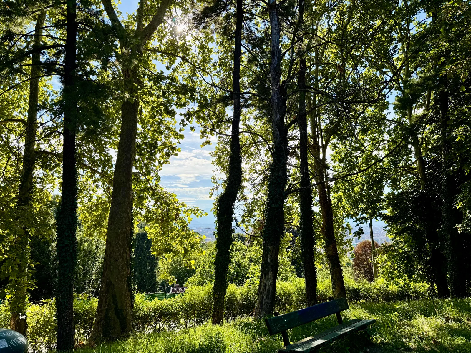 Interior at Parco di San Vito Turin — travel photo