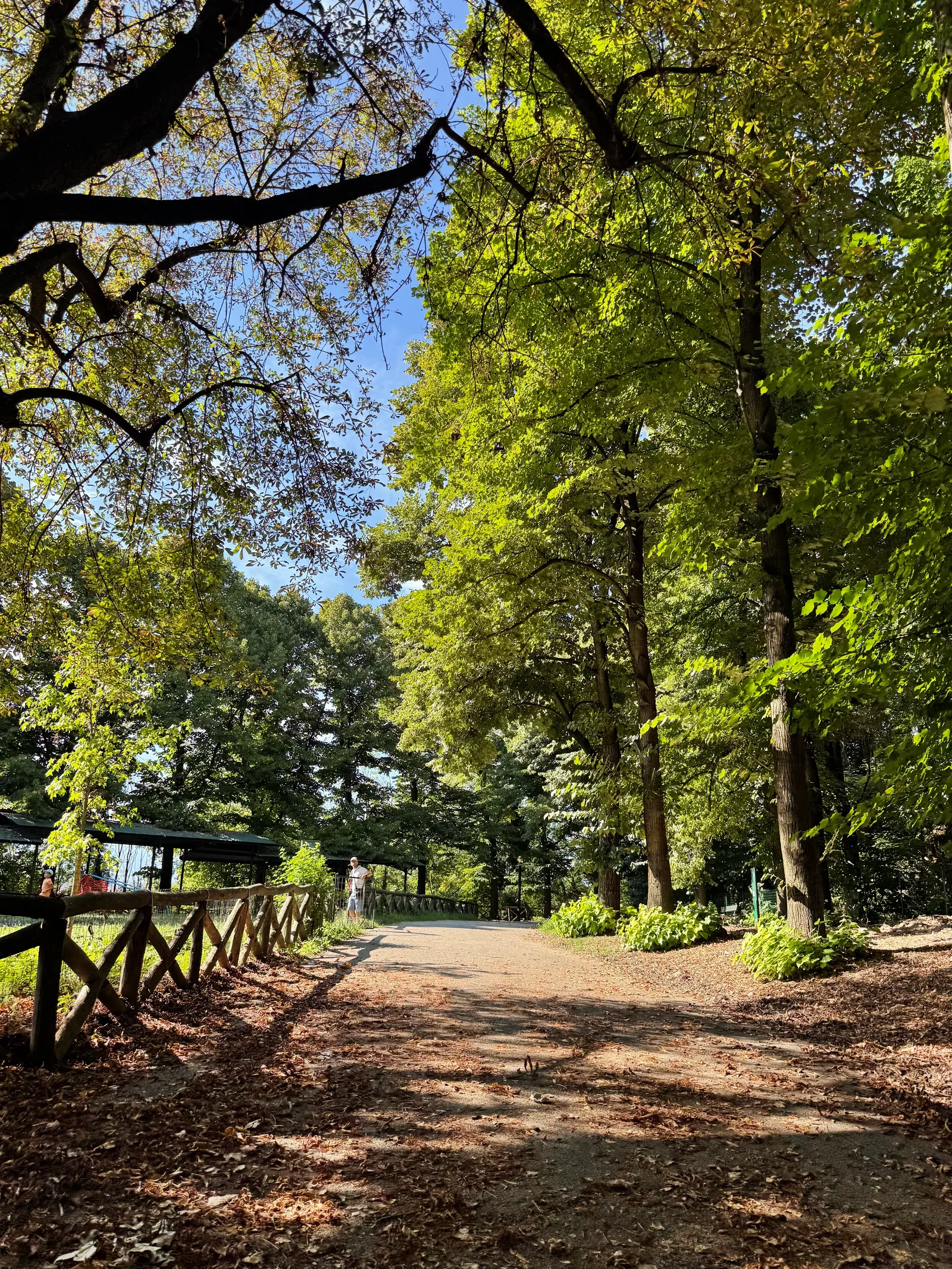 Details at Parco di San Vito Turin — travel photo
