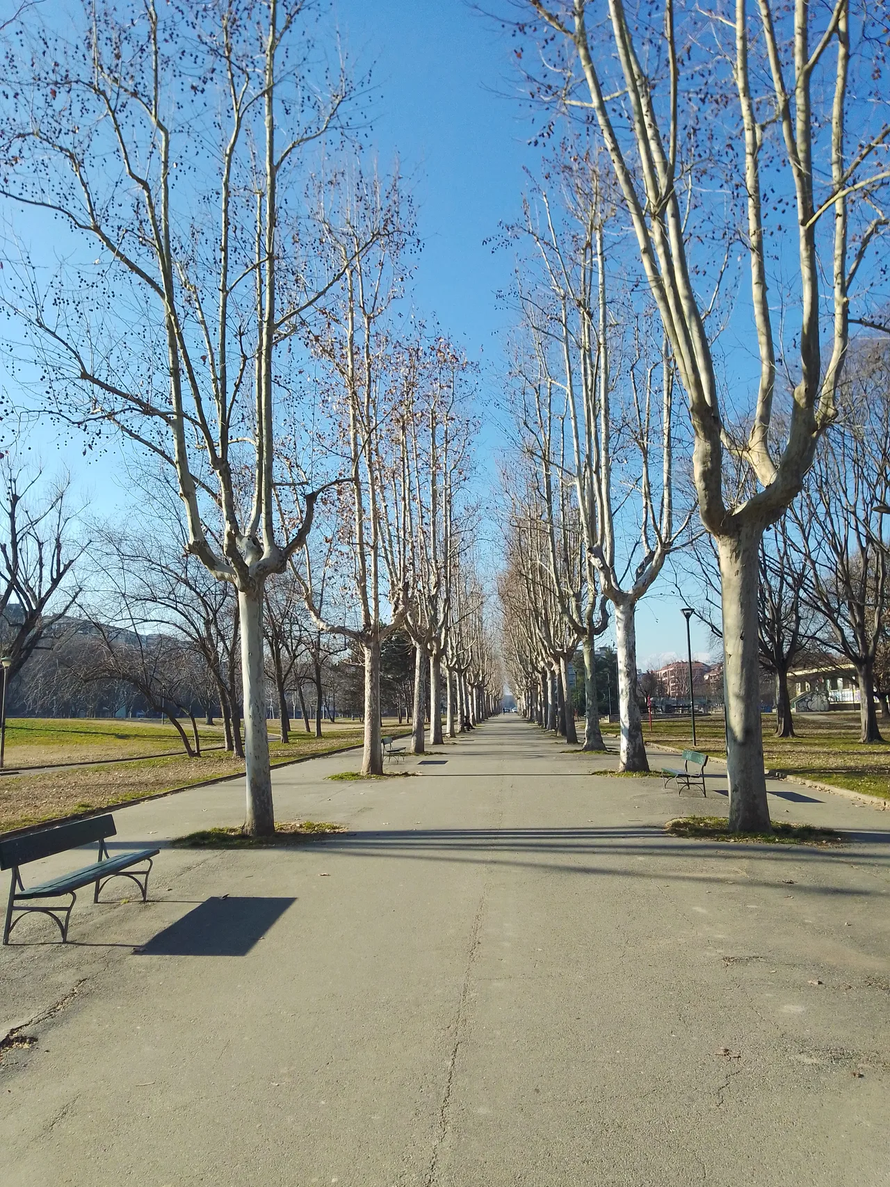 Parco di Vittorio