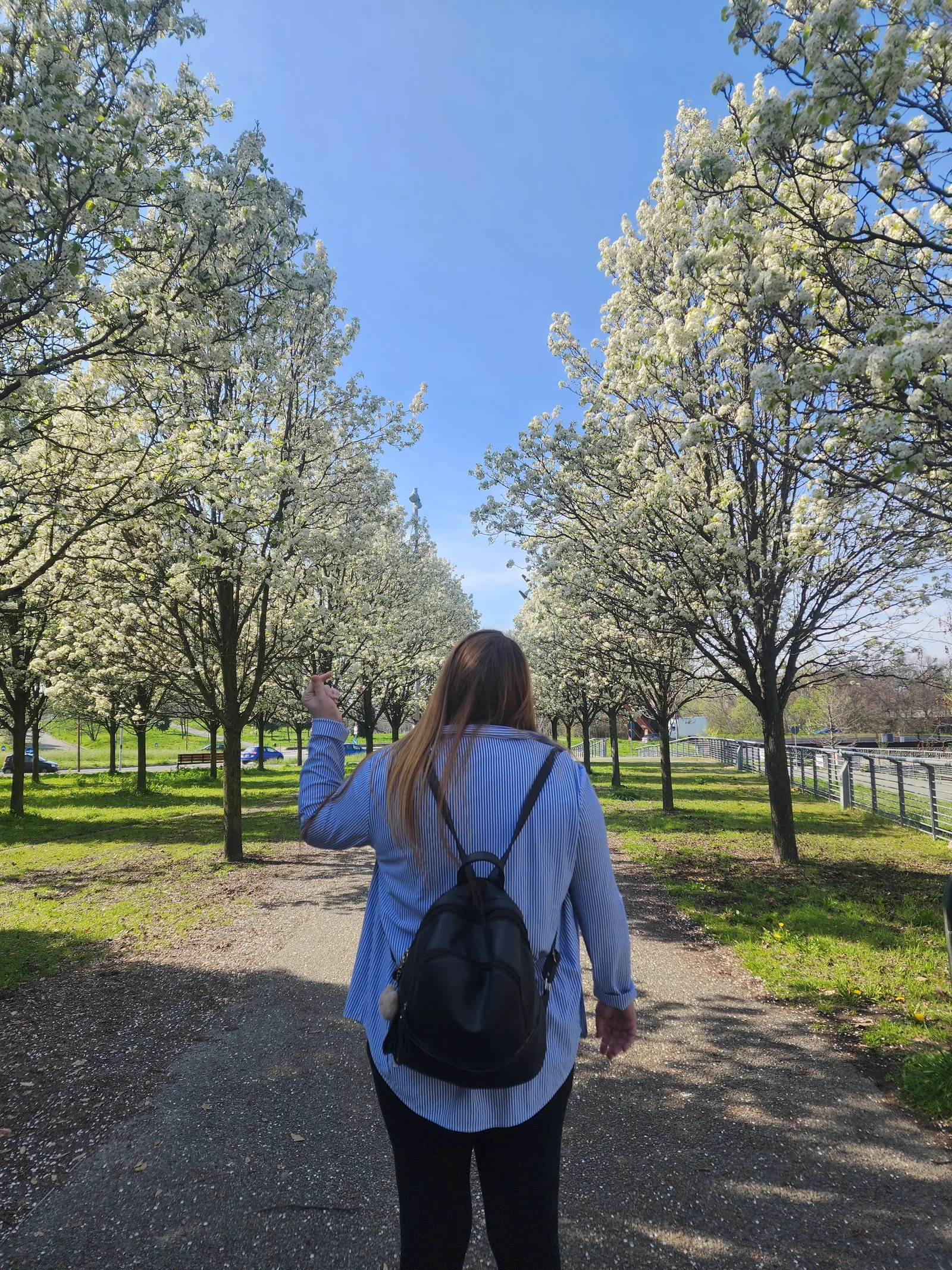 Details at Parco Dora Turin — travel photo