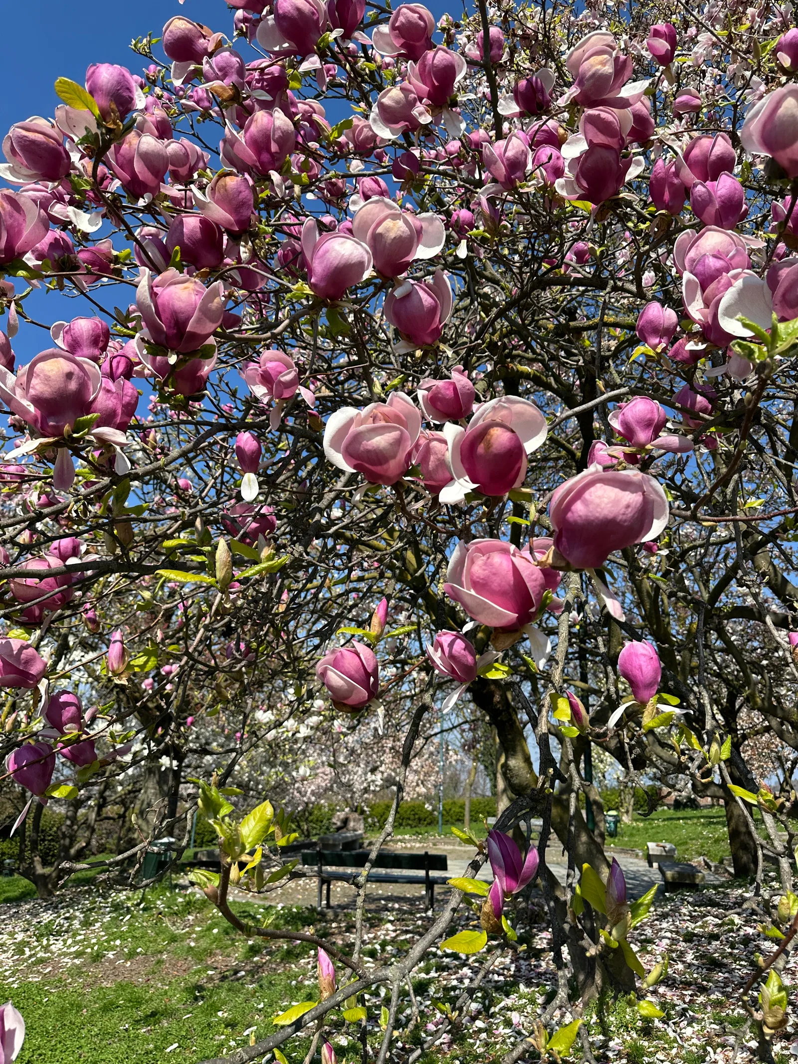 Details at Parco Europa Turin — travel photo