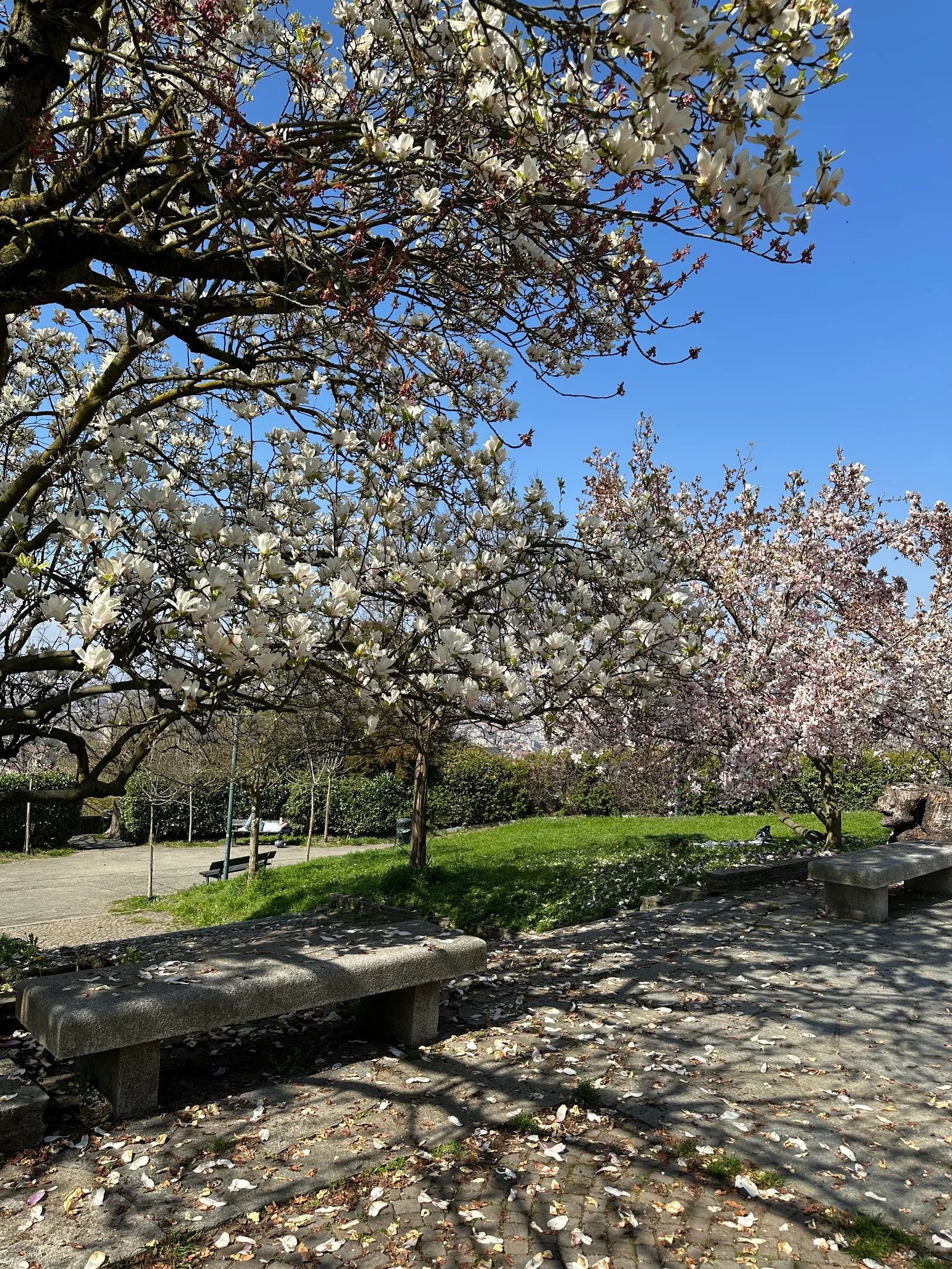 Atmosphere at Parco Europa Turin — travel photo