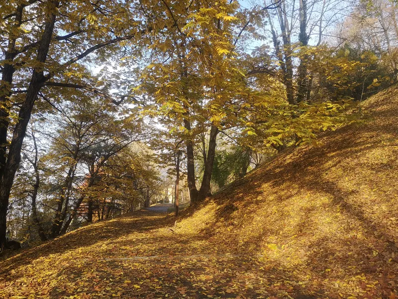 Parco Giacomo Leopardi