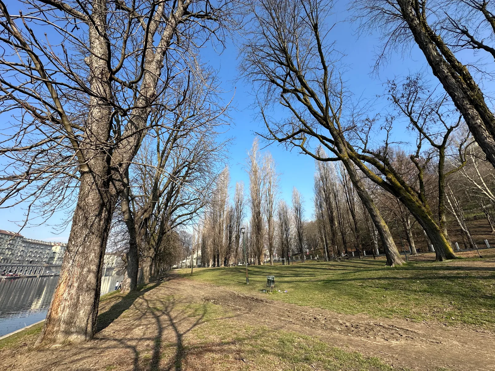 Interior at Parco Leone Ginzburg Turin — travel photo