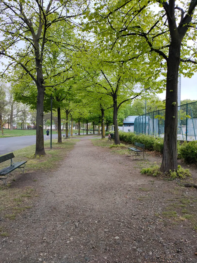 Parco Ruffini