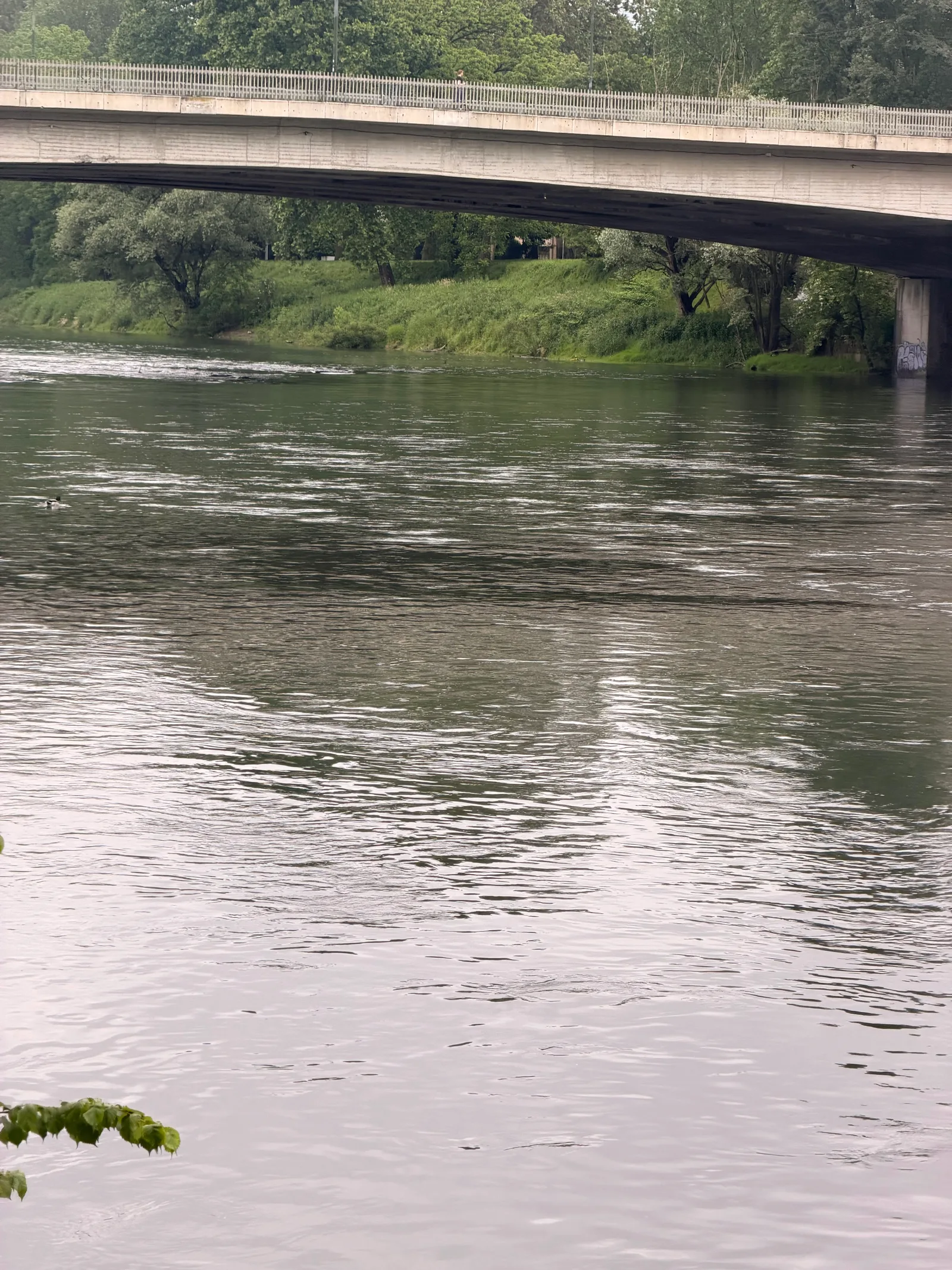 Details at Walk along the Po river Turin — travel photo