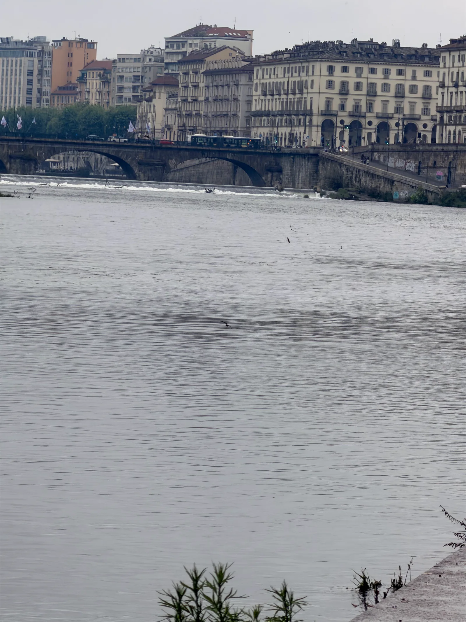 Atmosphere at Walk along the Po river Turin — travel photo