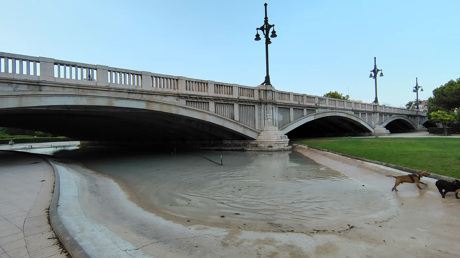 Main view at Aragon Bridge Valencia — travel photo