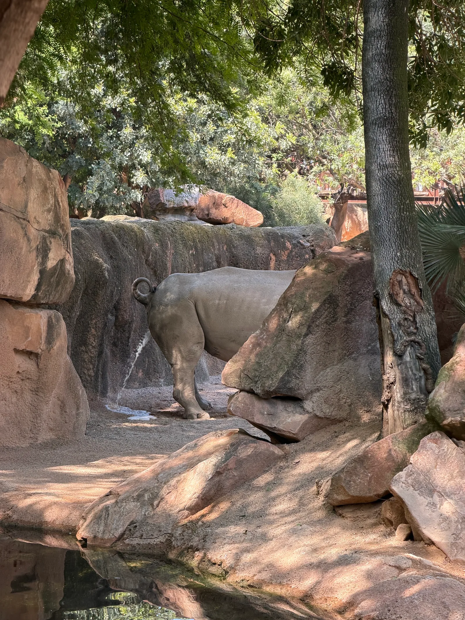 Main view at Bioparc Valencia Valencia — travel photo