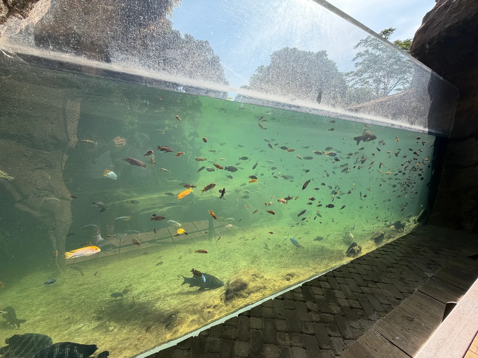 Details at Bioparc Valencia Valencia — travel photo