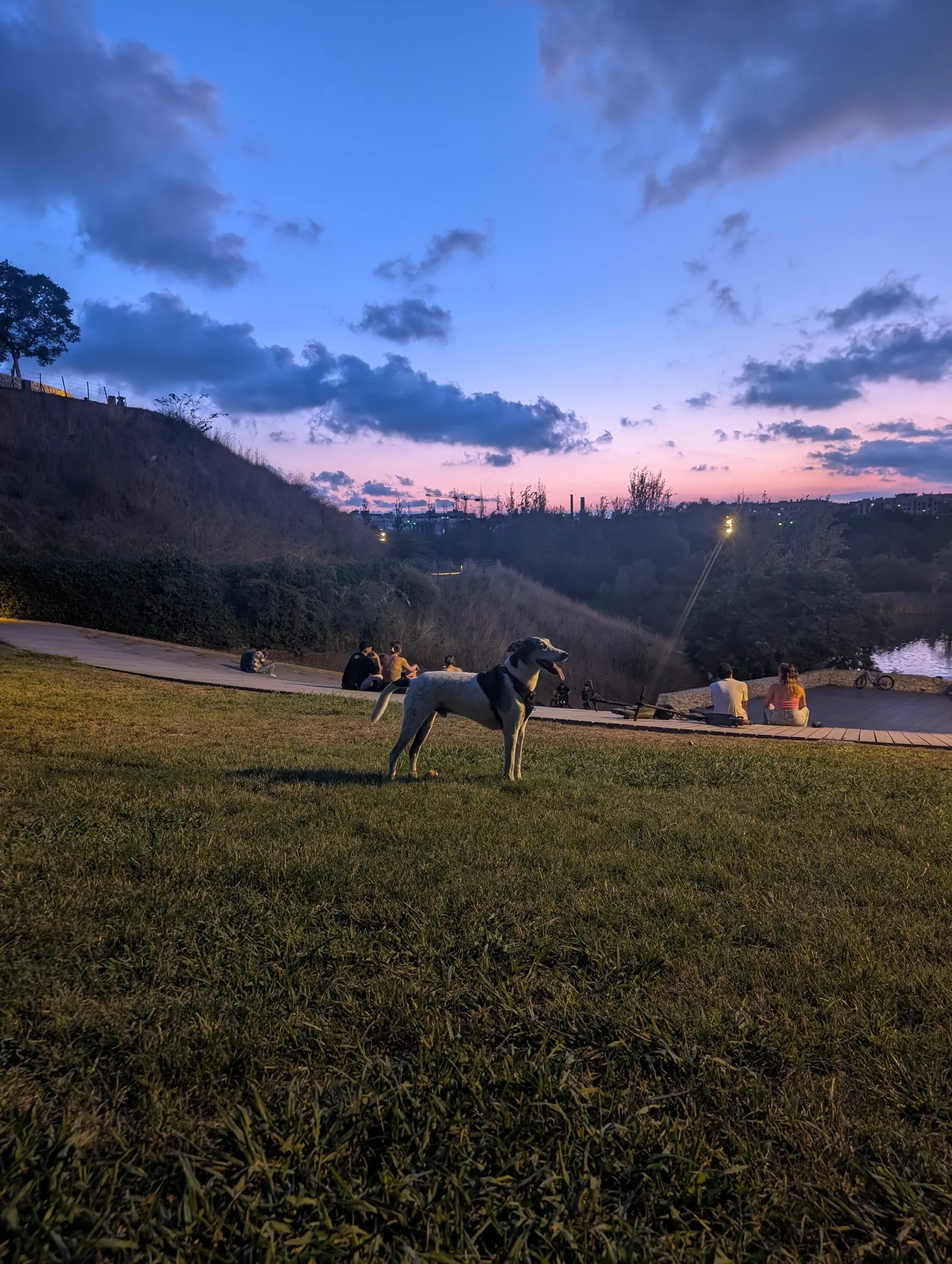 Main view at Cabecera Park Valencia — travel photo