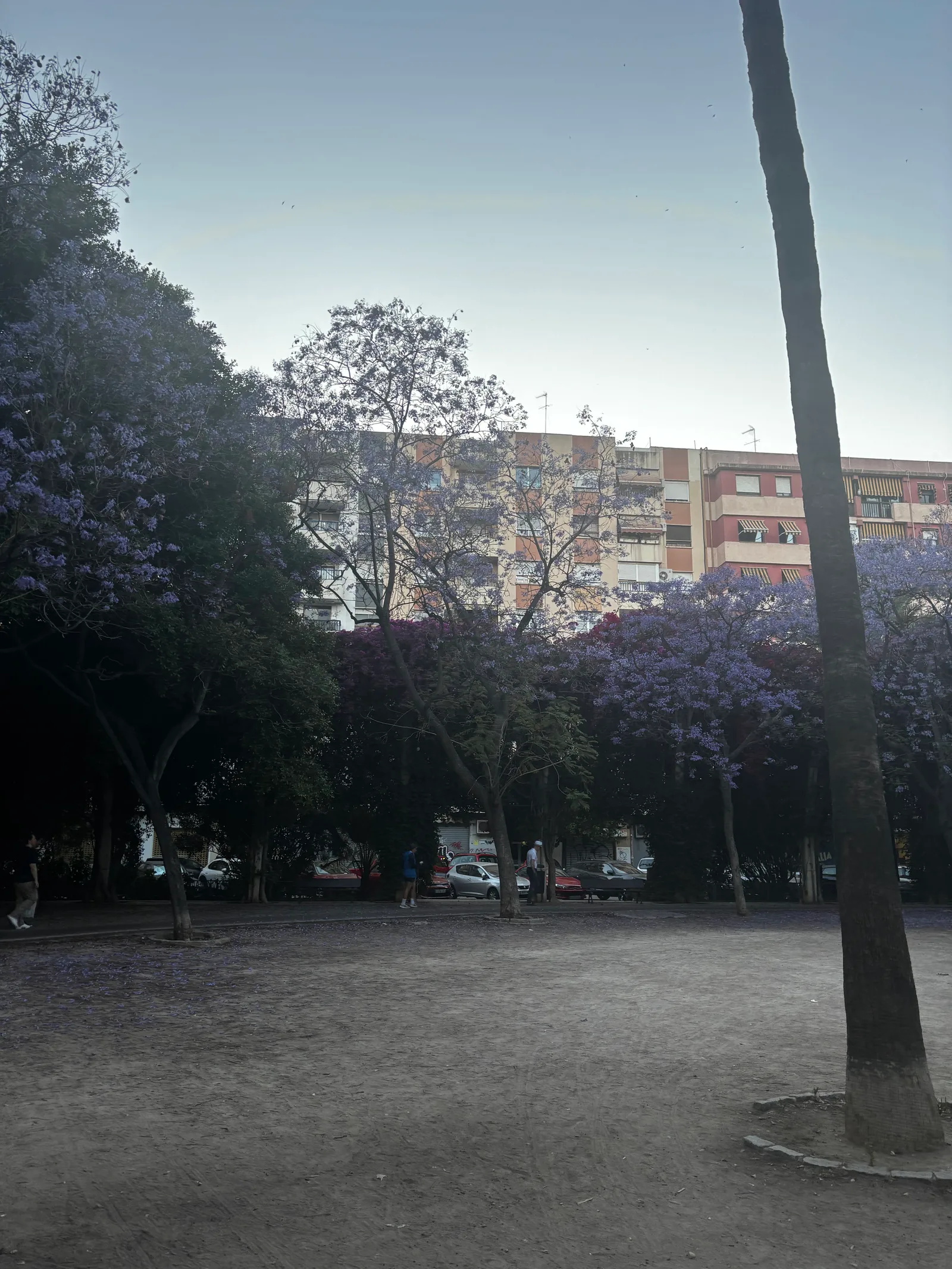 Main view at Jardín de Ayora Valencia — travel photo