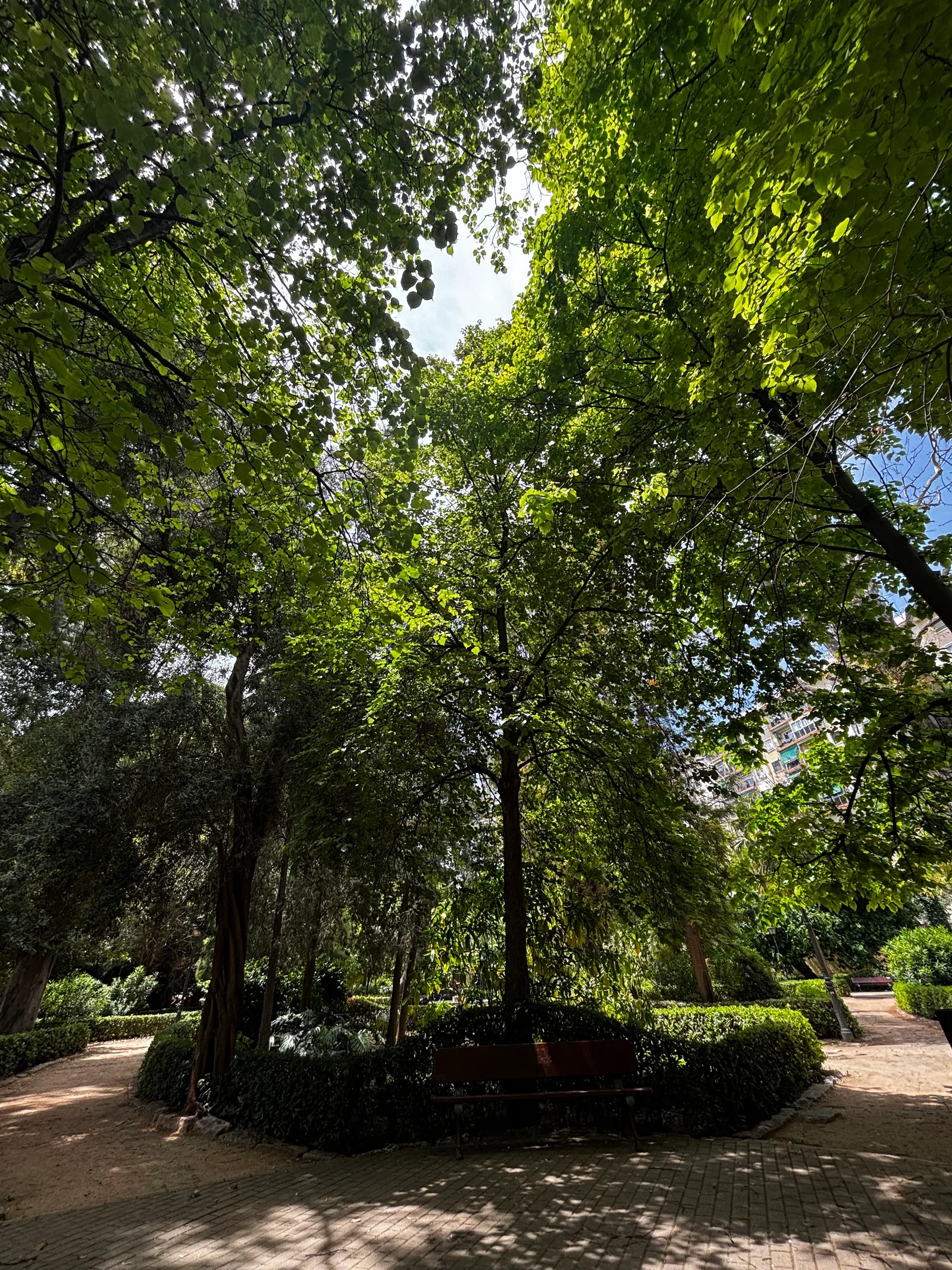 Interior at Jardín de Ayora Valencia — travel photo