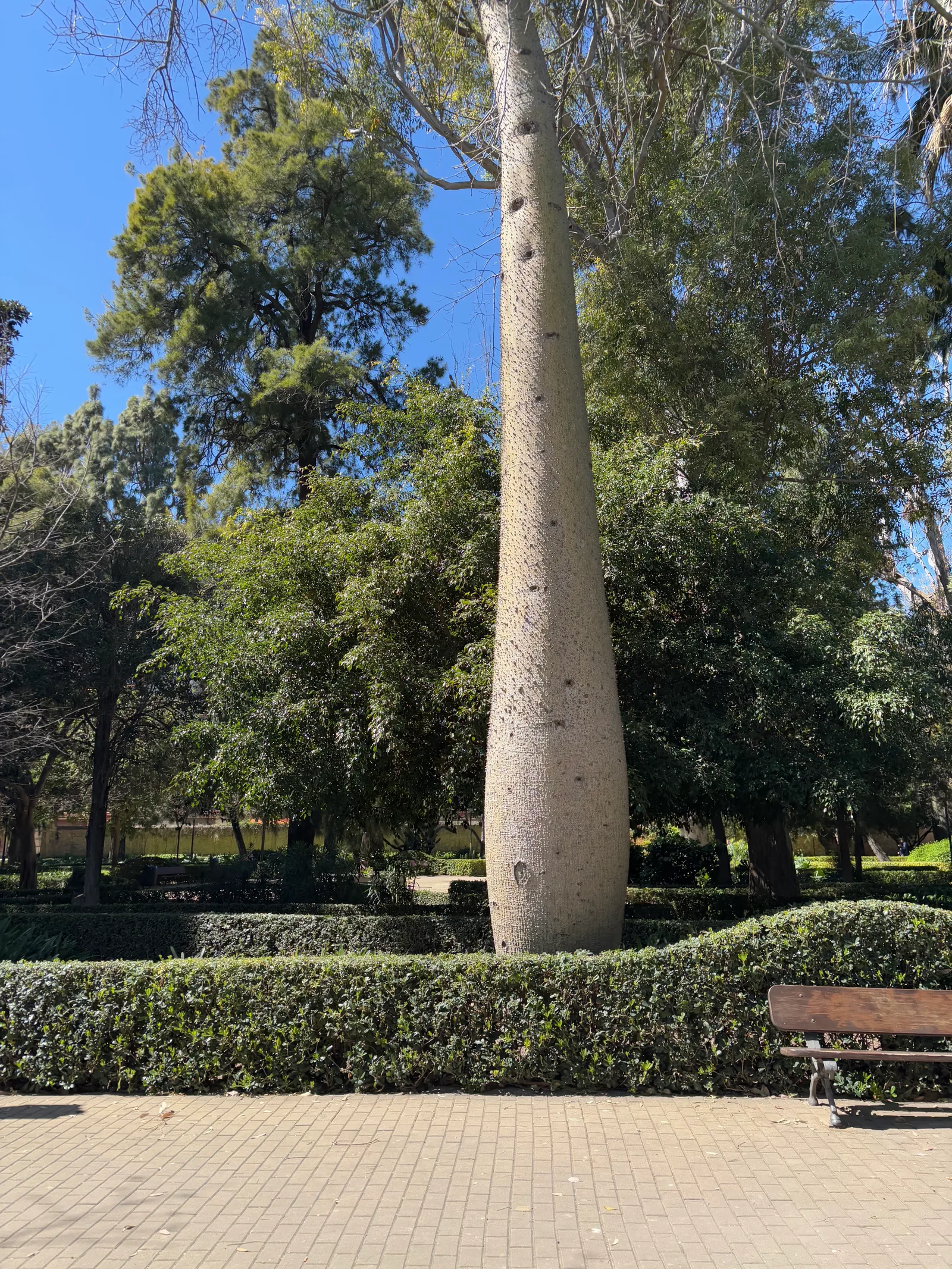 Atmosphere at Jardín de Ayora Valencia — travel photo