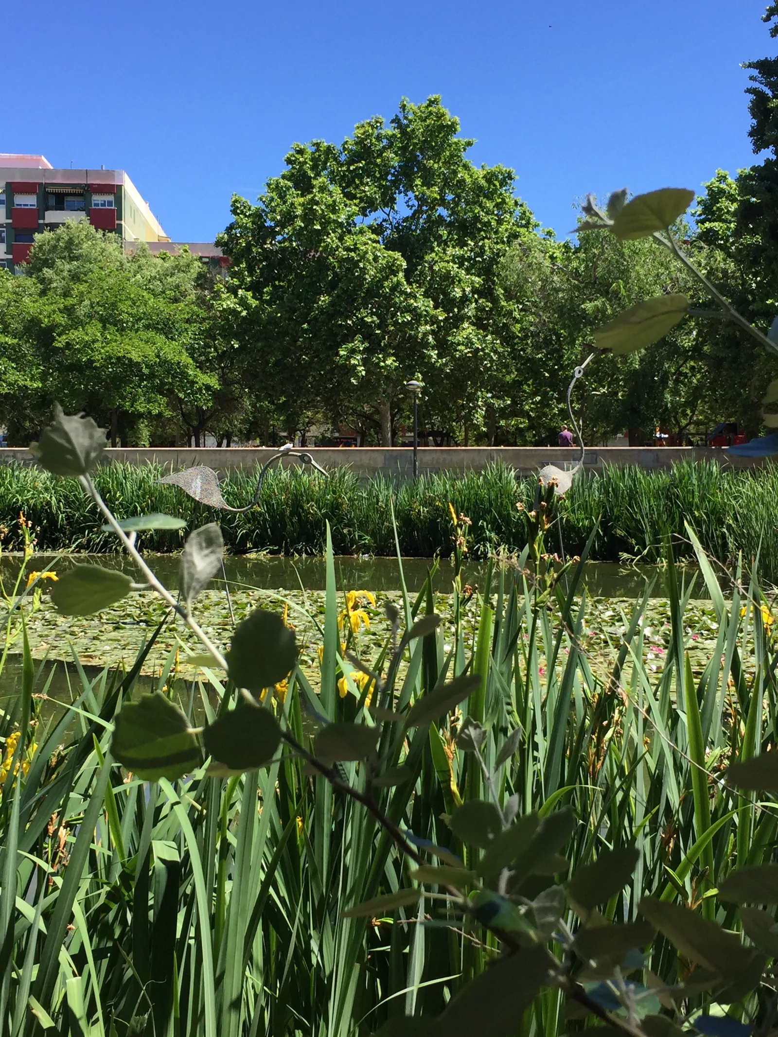 Interior at La Rambleta Park Valencia — travel photo